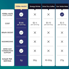 Yerba Magic™3x Pack