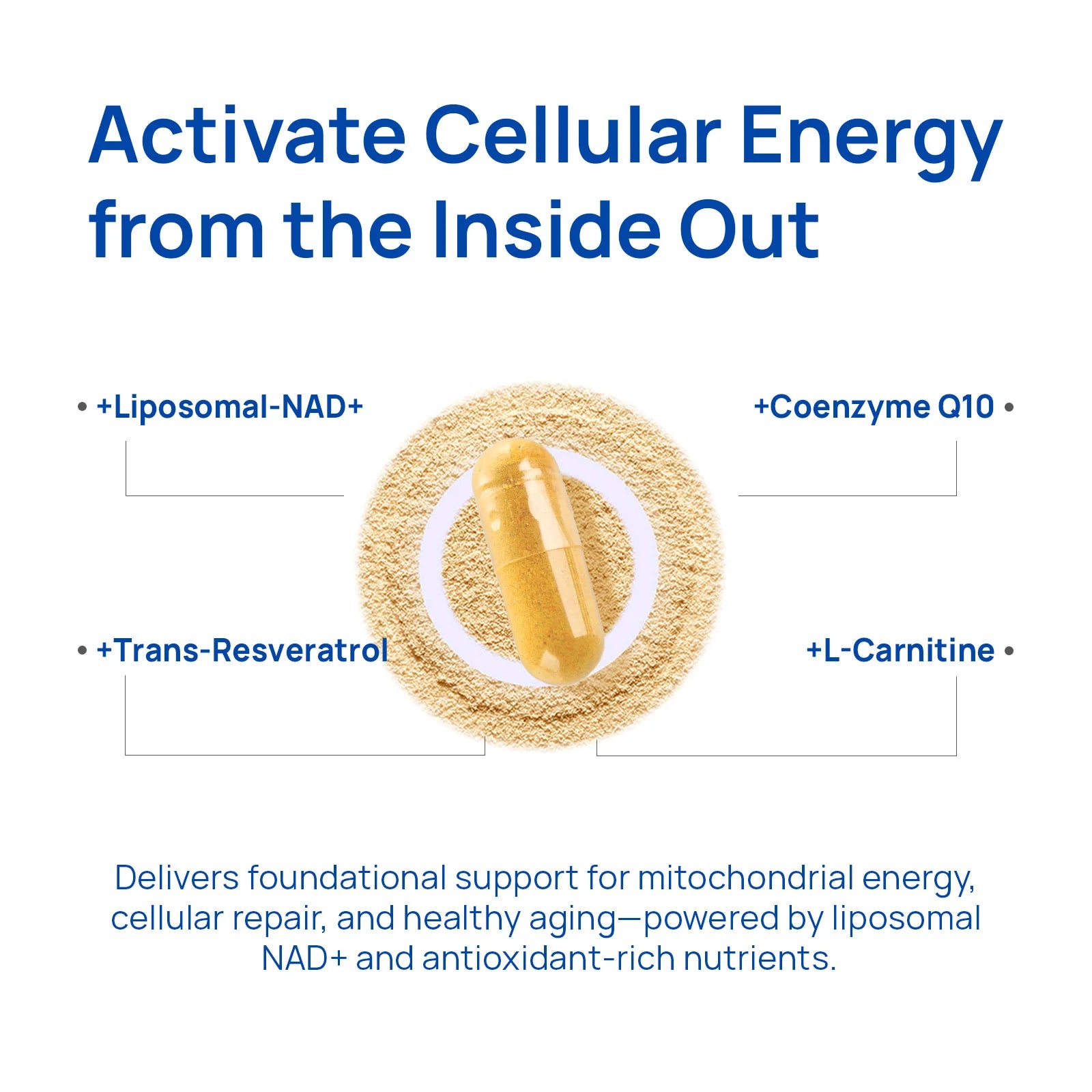 Selerb NAD+ Supplement for Men - 60 Capsules