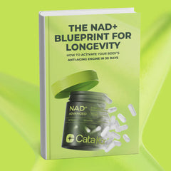 NAD+ Blueprint for Longevity