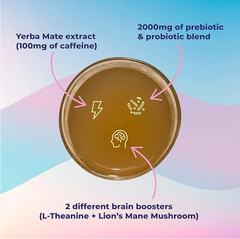 Yerba Magic™2x Pack